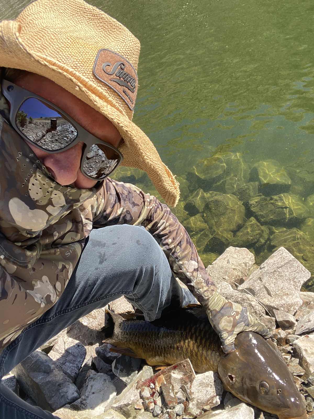 Carp headshot while bowfishing