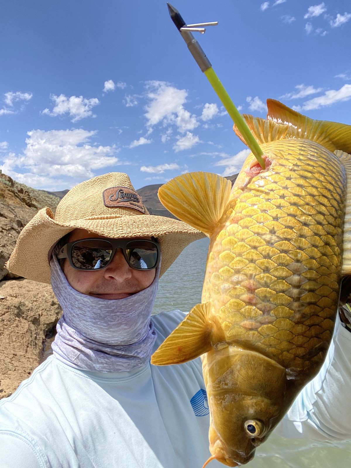 Common carp shot while bowfishing at reservoir