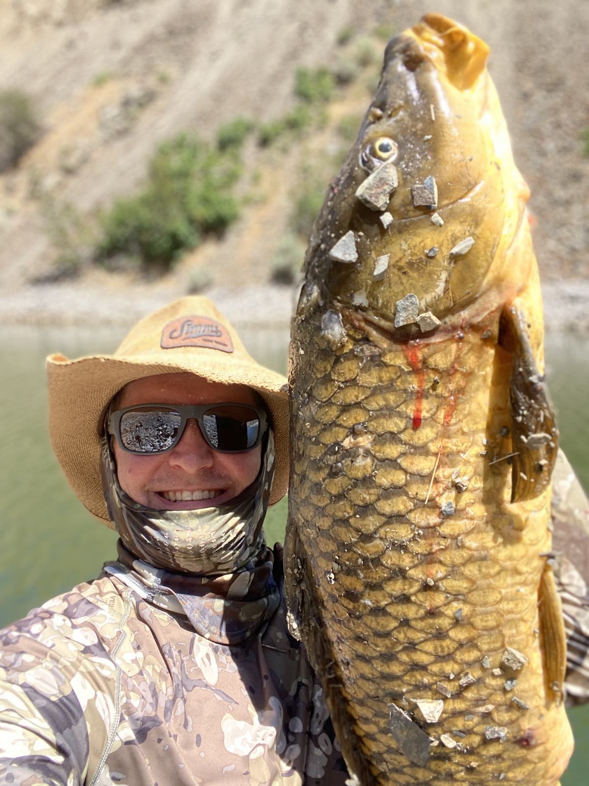 Monster carp shot while bowfishing in cove